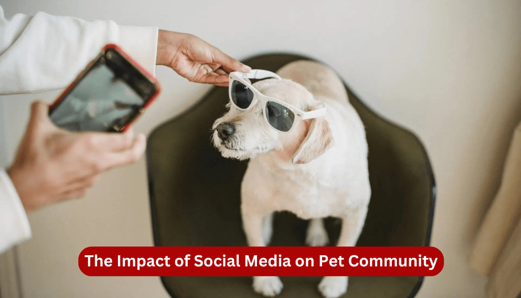 The Impact of Social Media on the Pet Community