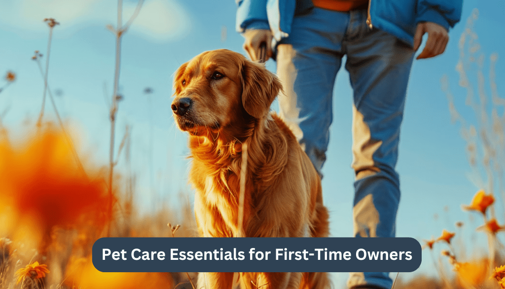 Pet Care Essentials for First-Time Owners