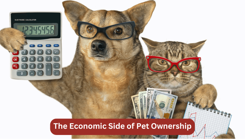 Economic side of pet ownership in Pakistan