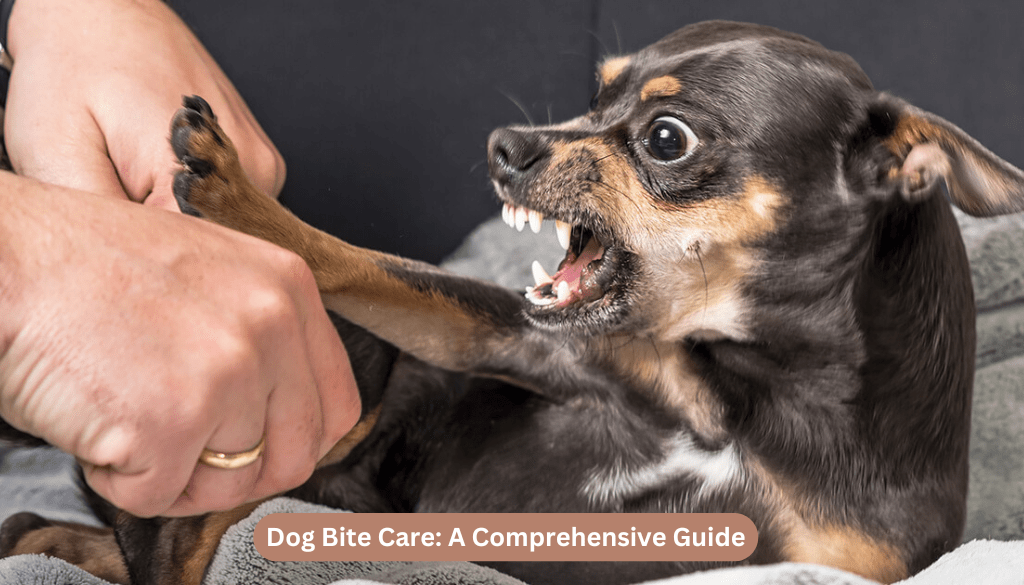Dog Bite Care