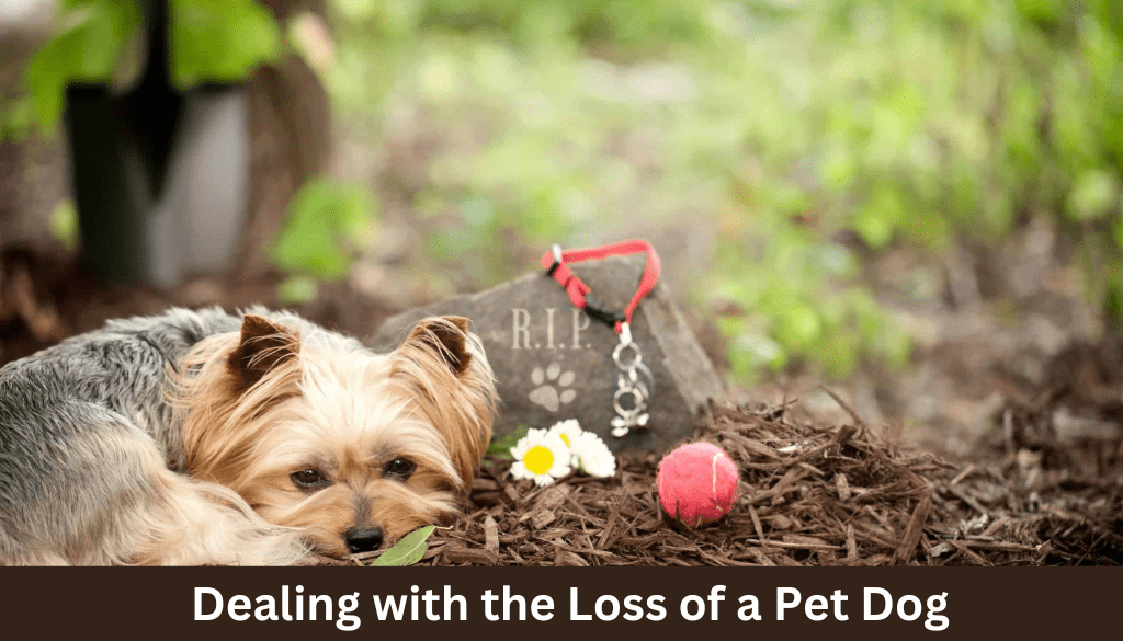 Dealing with the Loss of a Pet Dog