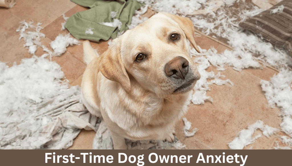 First-Time Dog Owner Anxiety