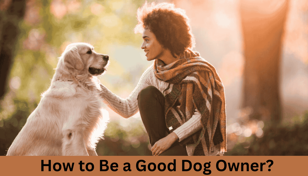 How to Be a Good Dog Owner