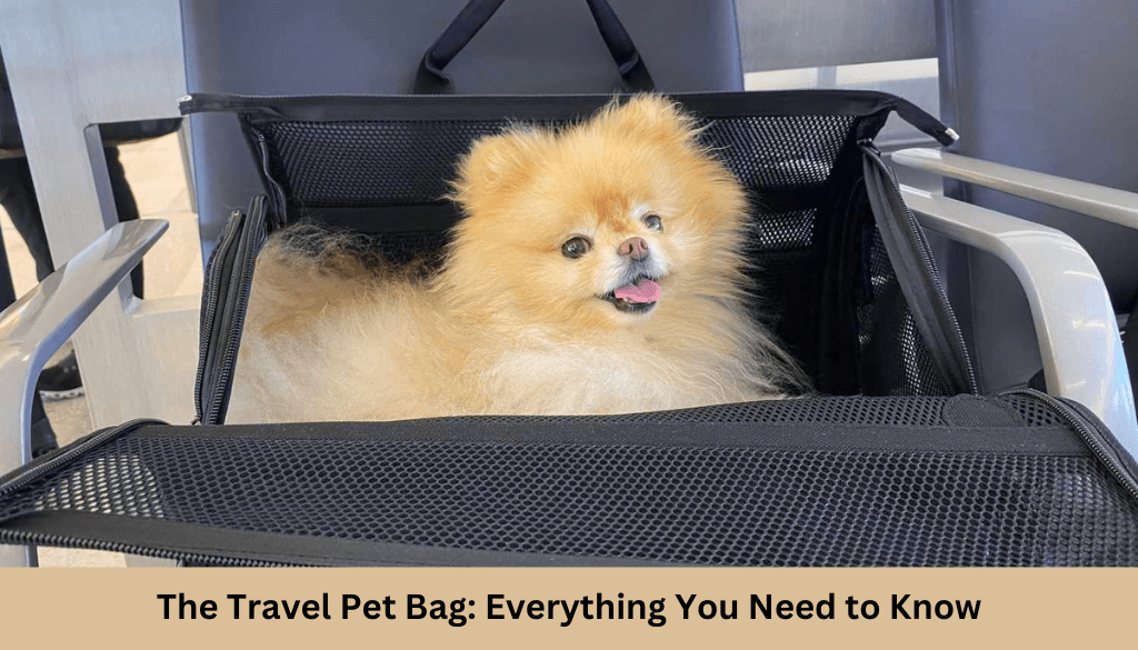 The Travel Pet Bag